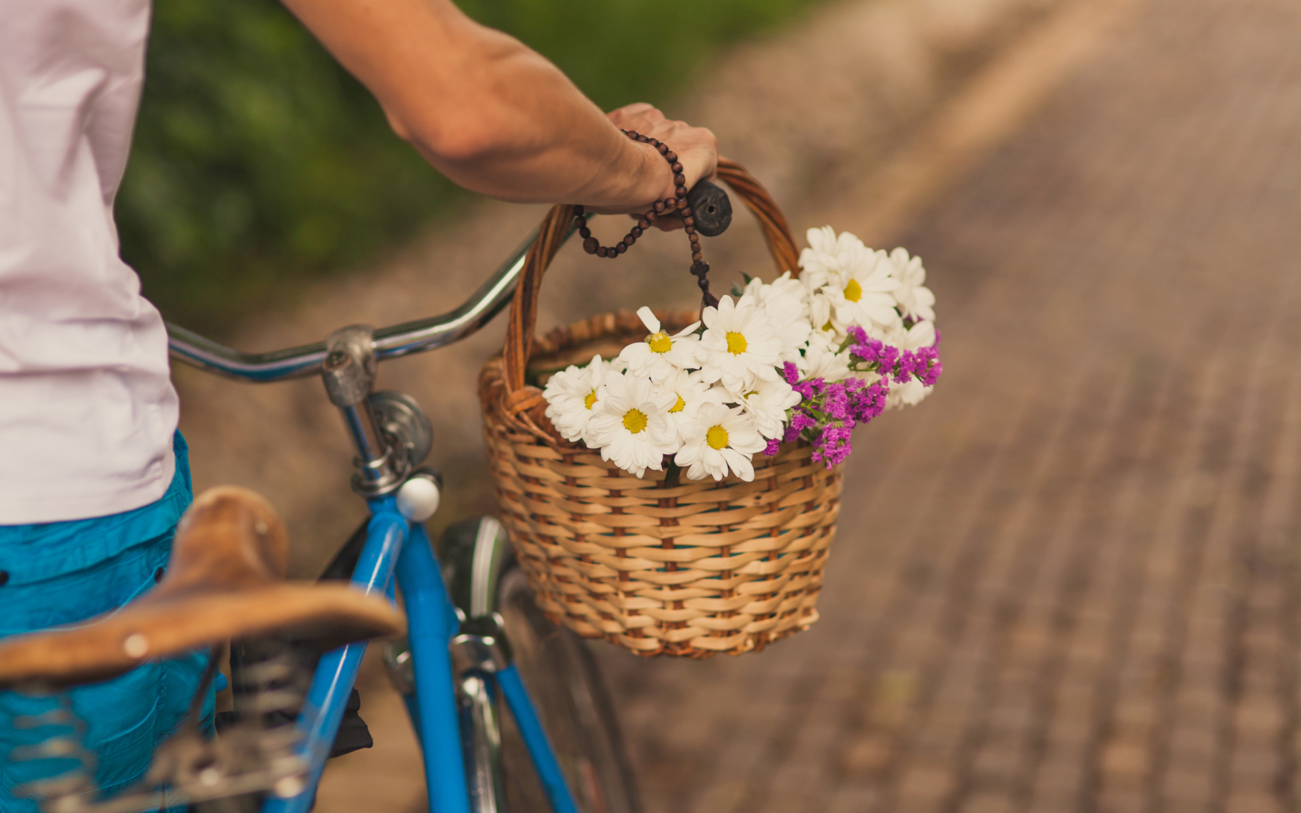 Screenshot №1 pro téma Flowers In Bicycle Basket 2560x1600