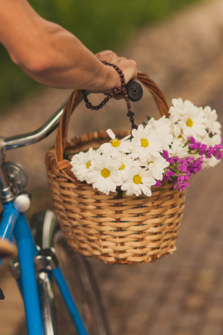 Das Flowers In Bicycle Basket Wallpaper 320x480