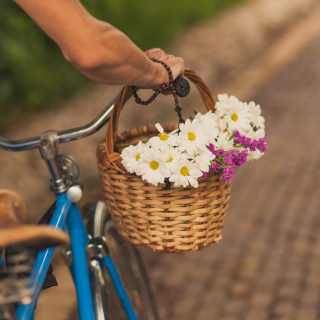 Kostenloses Flowers In Bicycle Basket Wallpaper für 208x208