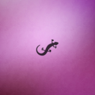 Gecko - Obrázkek zdarma pro iPad