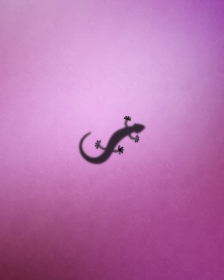 Gecko - Obrázkek zdarma pro iPhone 4S