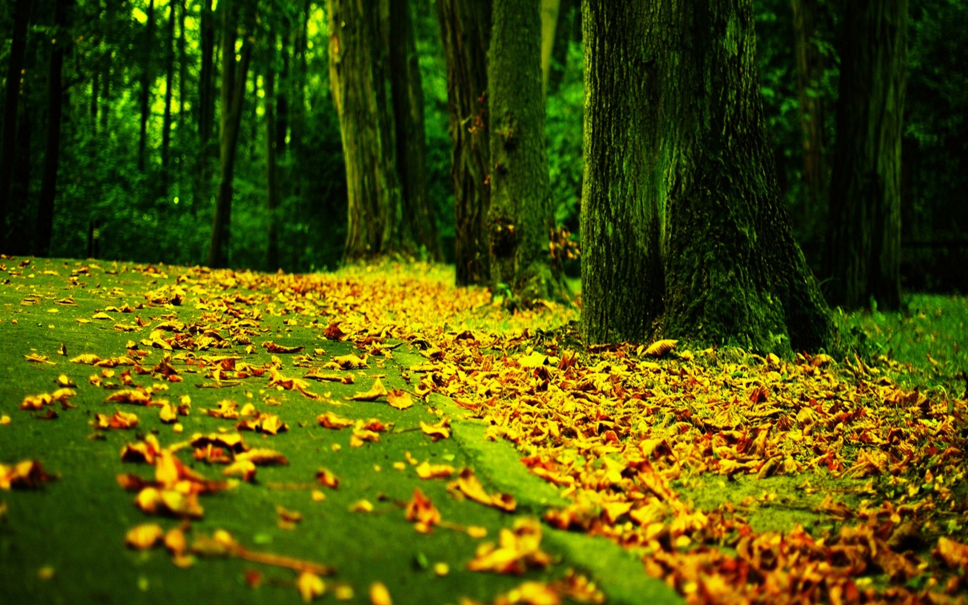 Screenshot №1 pro téma Fantastic Autumn 1920x1200