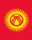 Flag of Kyrgyzstan screenshot #1 128x160