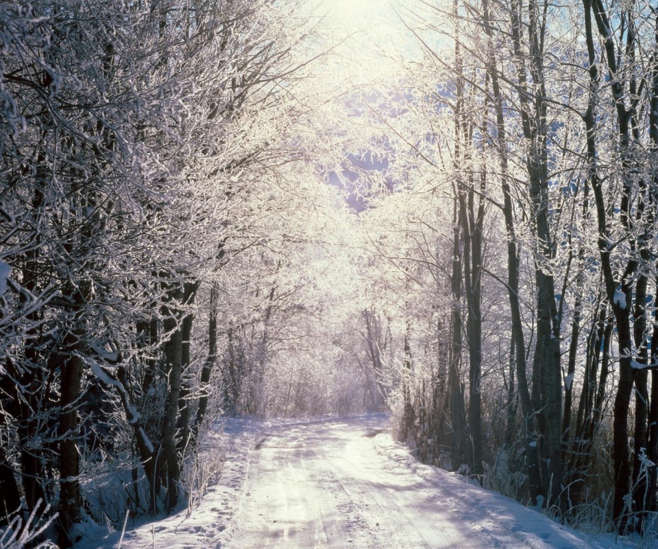 Screenshot №1 pro téma Snowy Woods In Switzerland 960x800