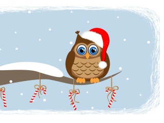 Sfondi Christmas Owl 320x240