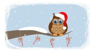 Christmas Owl - Obrázkek zdarma 