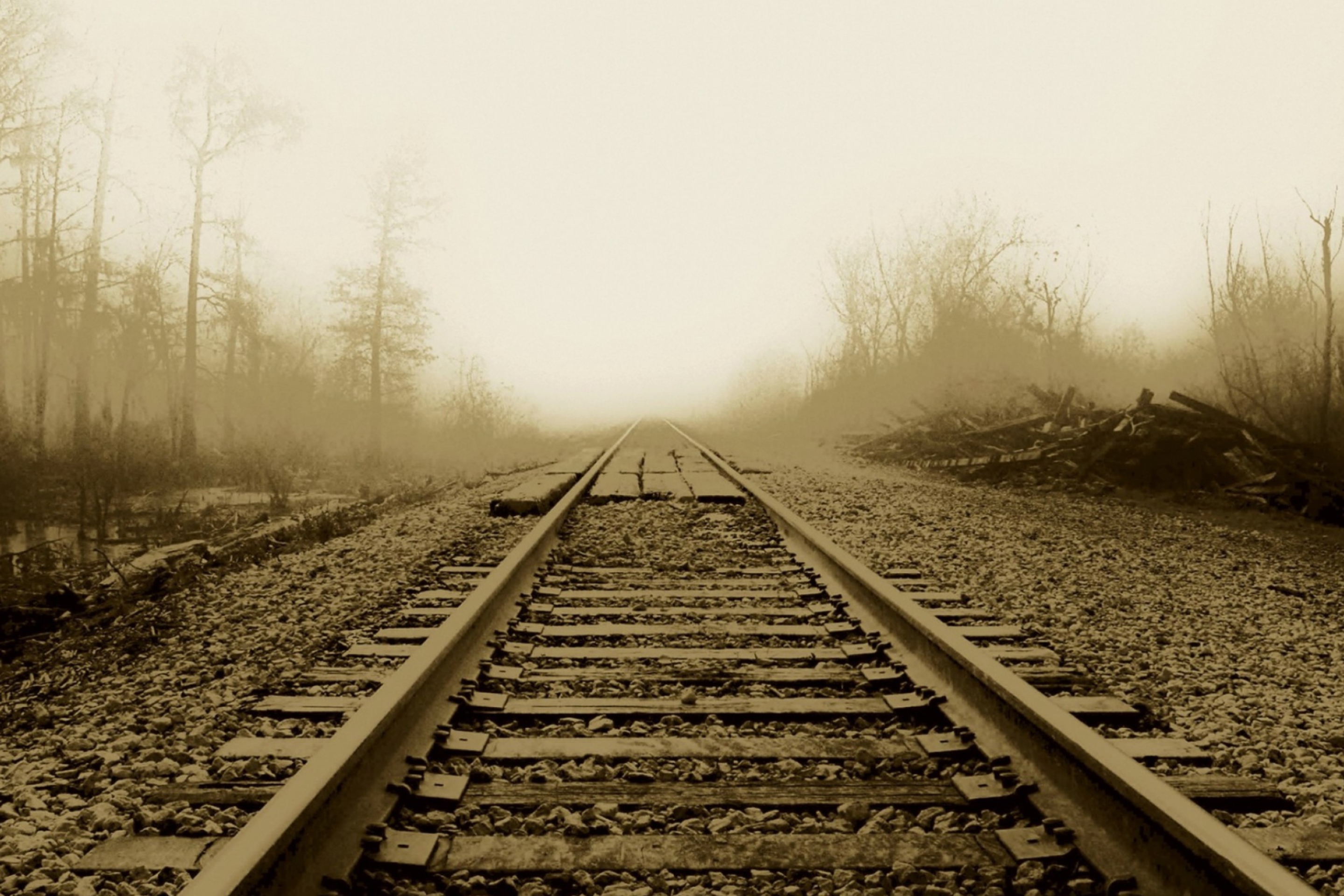Screenshot №1 pro téma Railway In A Fog 2880x1920