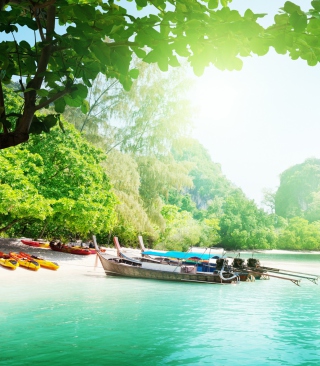 Beautiful Thailand - Obrázkek zdarma pro Nokia C1-00