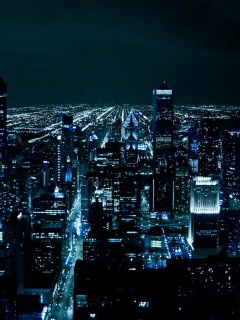 Das Chicago Night Lights Wallpaper 240x320