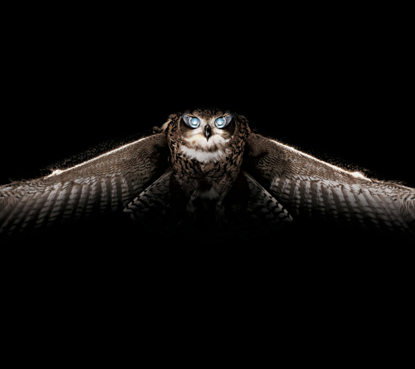 Screenshot №1 pro téma Owl 1440x1280