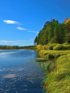 Das Scenic Lake Oregon HD Wallpaper 240x320