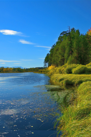 Das Scenic Lake Oregon HD Wallpaper 320x480