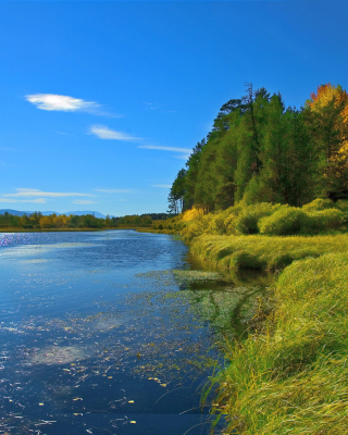 Scenic Lake Oregon HD - Obrázkek zdarma pro Nokia Lumia 1520