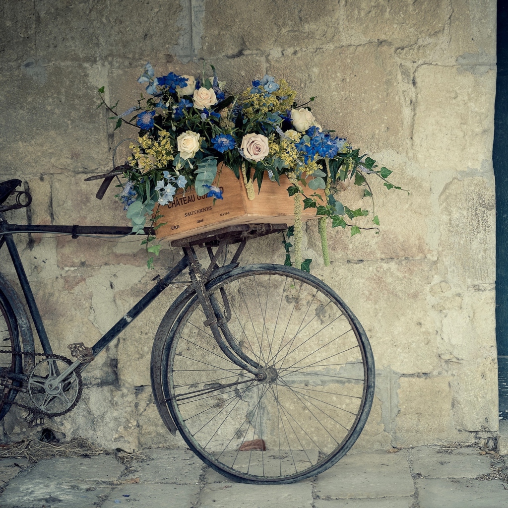 Flower Bicycle wallpaper 1024x1024