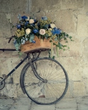 Fondo de pantalla Flower Bicycle 128x160