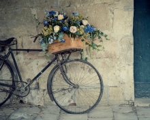 Fondo de pantalla Flower Bicycle 220x176