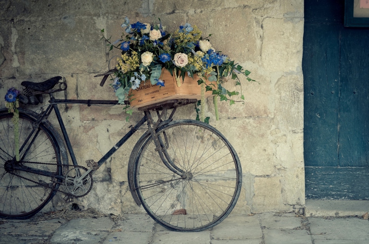 Fondo de pantalla Flower Bicycle