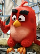 Screenshot №1 pro téma Angry Birds Red 132x176