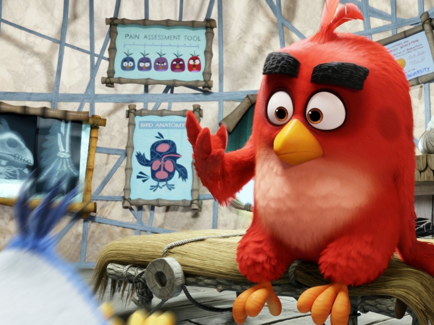 Fondo de pantalla Angry Birds Red 1400x1050