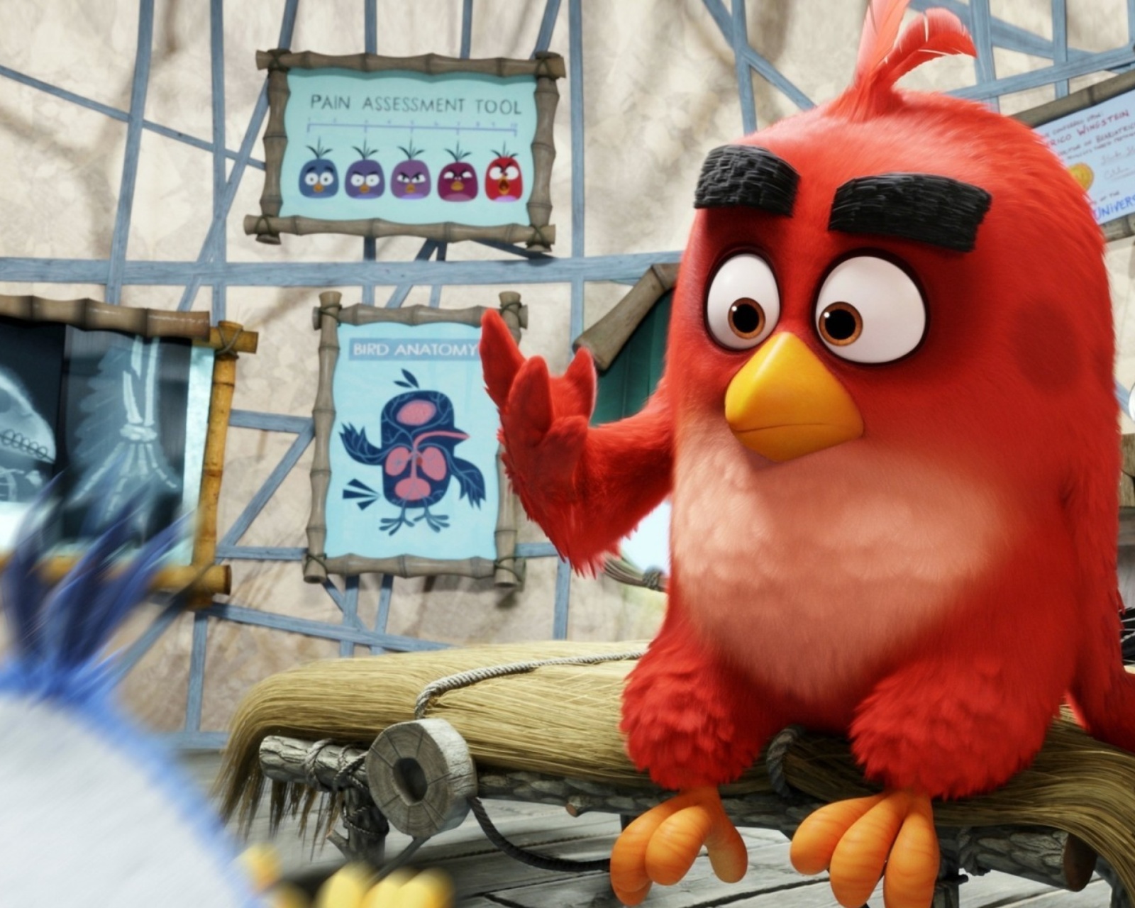 Fondo de pantalla Angry Birds Red 1600x1280