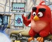 Screenshot №1 pro téma Angry Birds Red 176x144