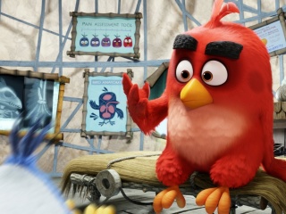 Обои Angry Birds Red 320x240