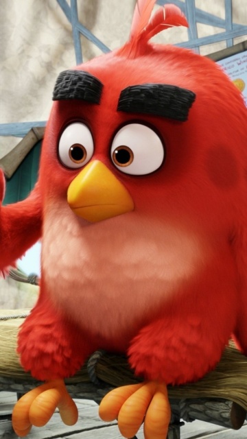 Обои Angry Birds Red 360x640