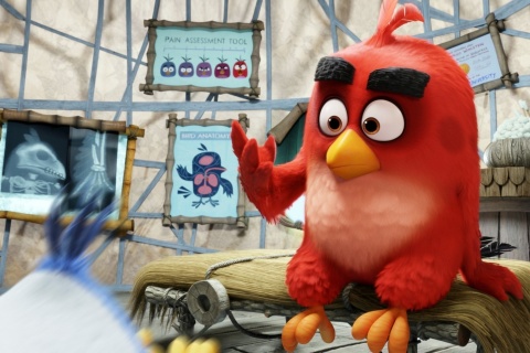 Обои Angry Birds Red 480x320