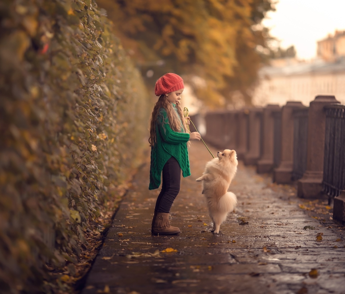 Das Child and dog spitz Wallpaper 1200x1024