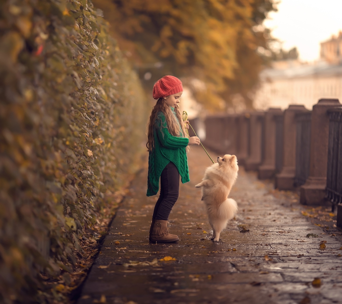 Das Child and dog spitz Wallpaper 1440x1280