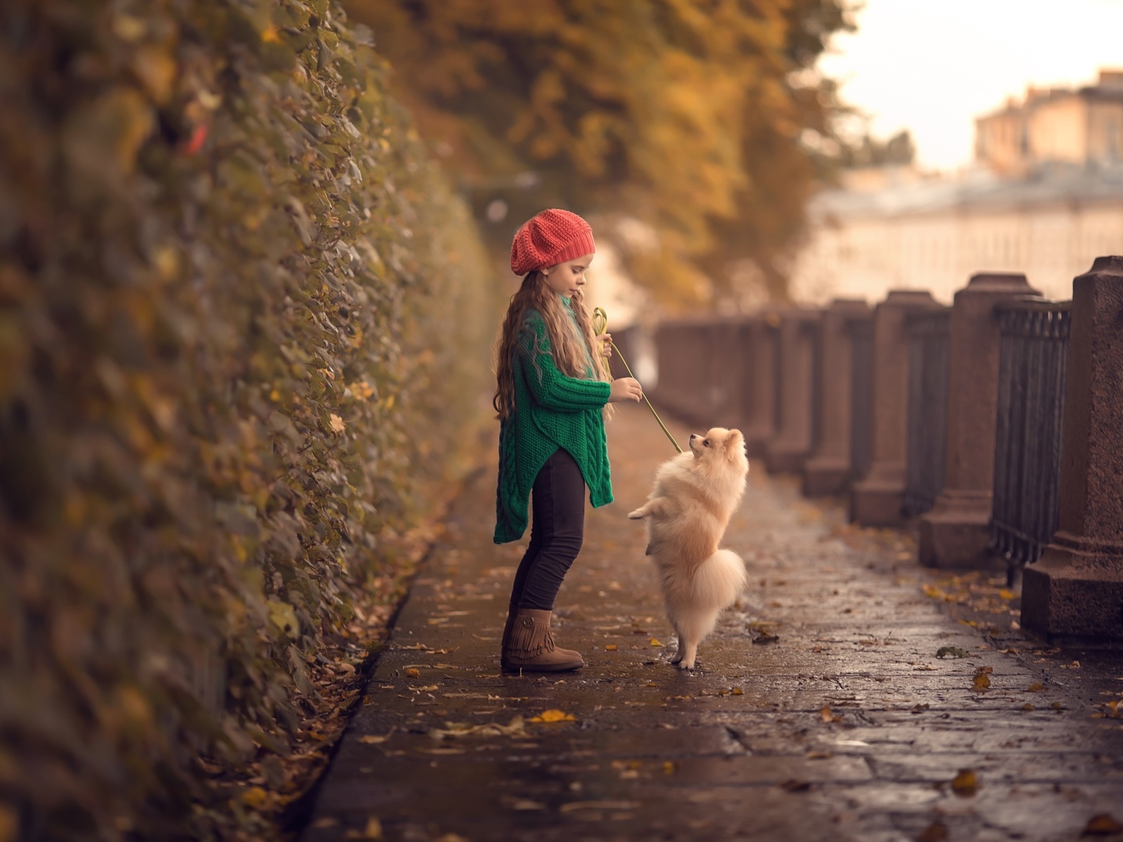 Child and dog spitz wallpaper 1600x1200