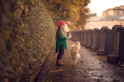 Child and dog spitz wallpaper 480x320