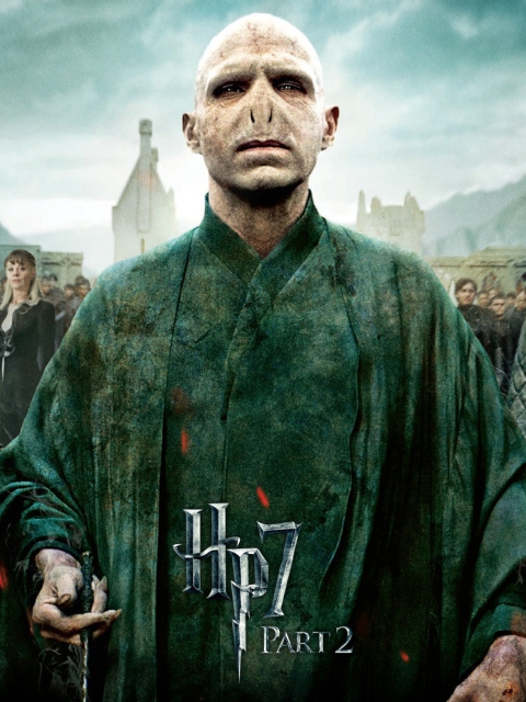 Fondo de pantalla Harry Potter And The Deathly Hallows Part 2 480x640