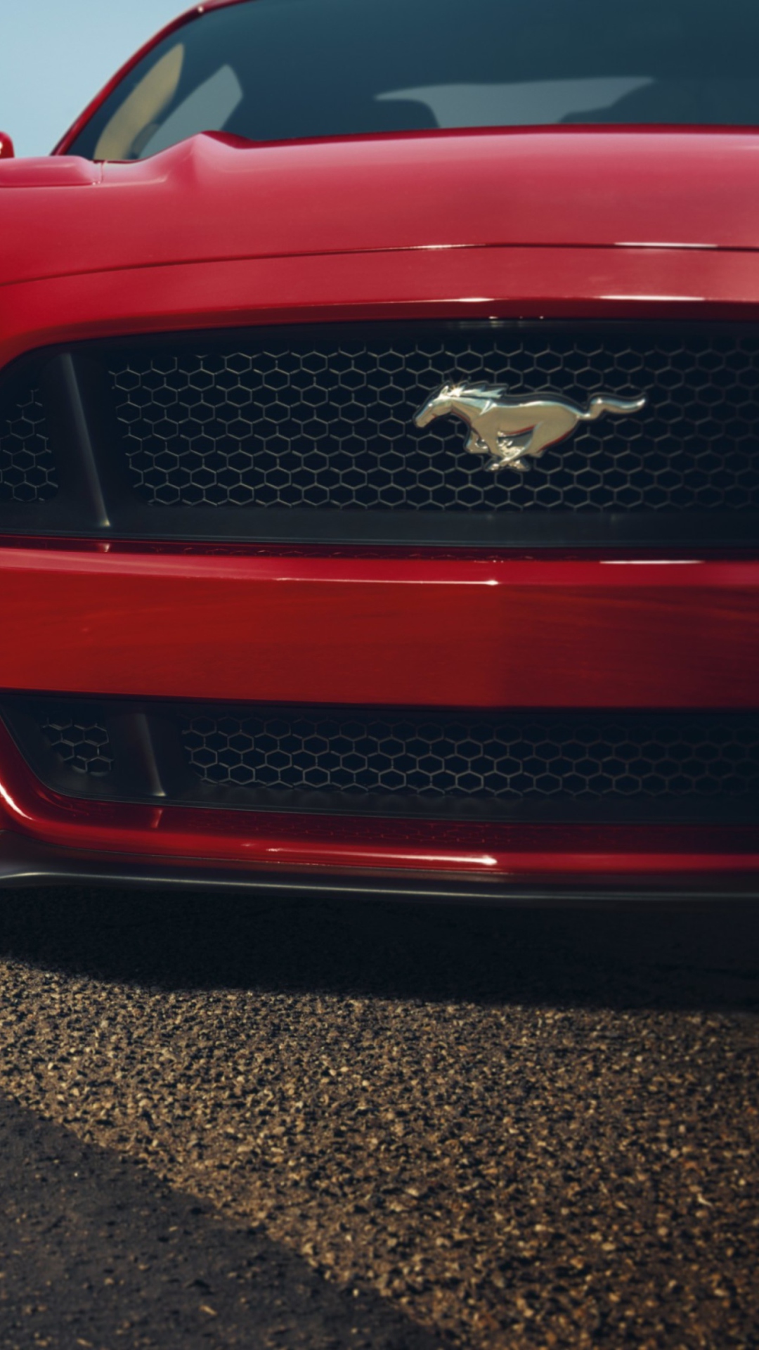 Das Ford Mustang GT Wallpaper 1080x1920