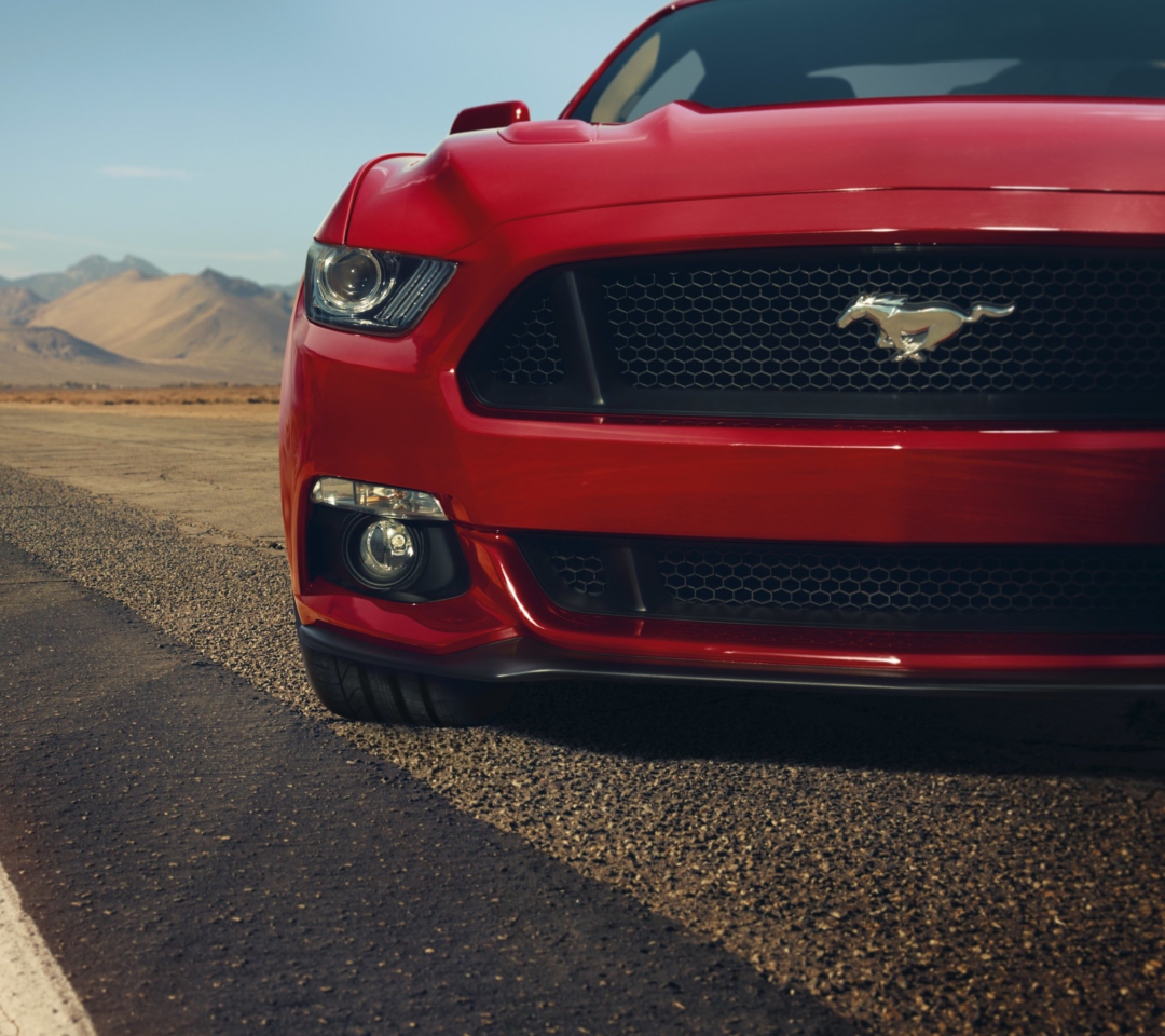 Screenshot №1 pro téma Ford Mustang GT 1080x960