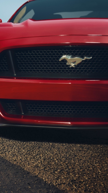 Das Ford Mustang GT Wallpaper 360x640