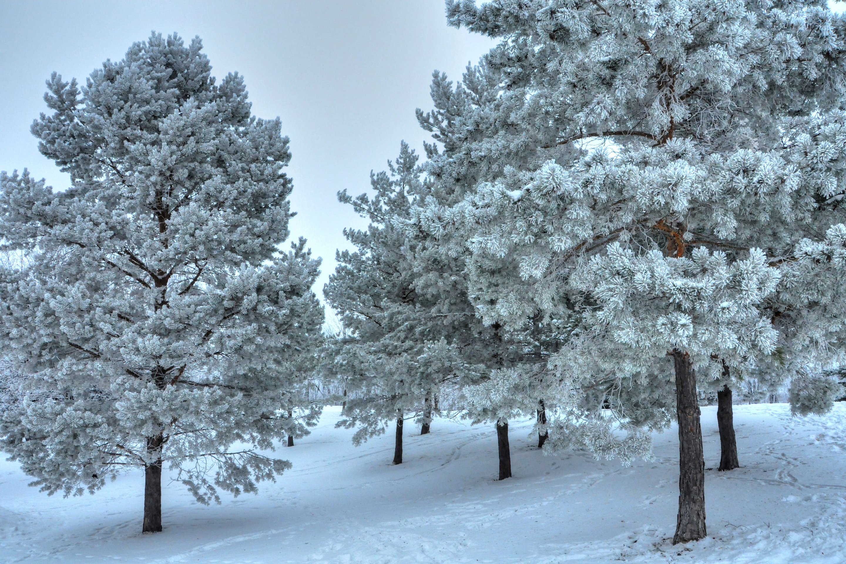 Screenshot №1 pro téma Winter Landscape 2880x1920