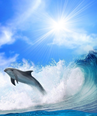 Dolphin papel de parede para celular para iPhone 3G
