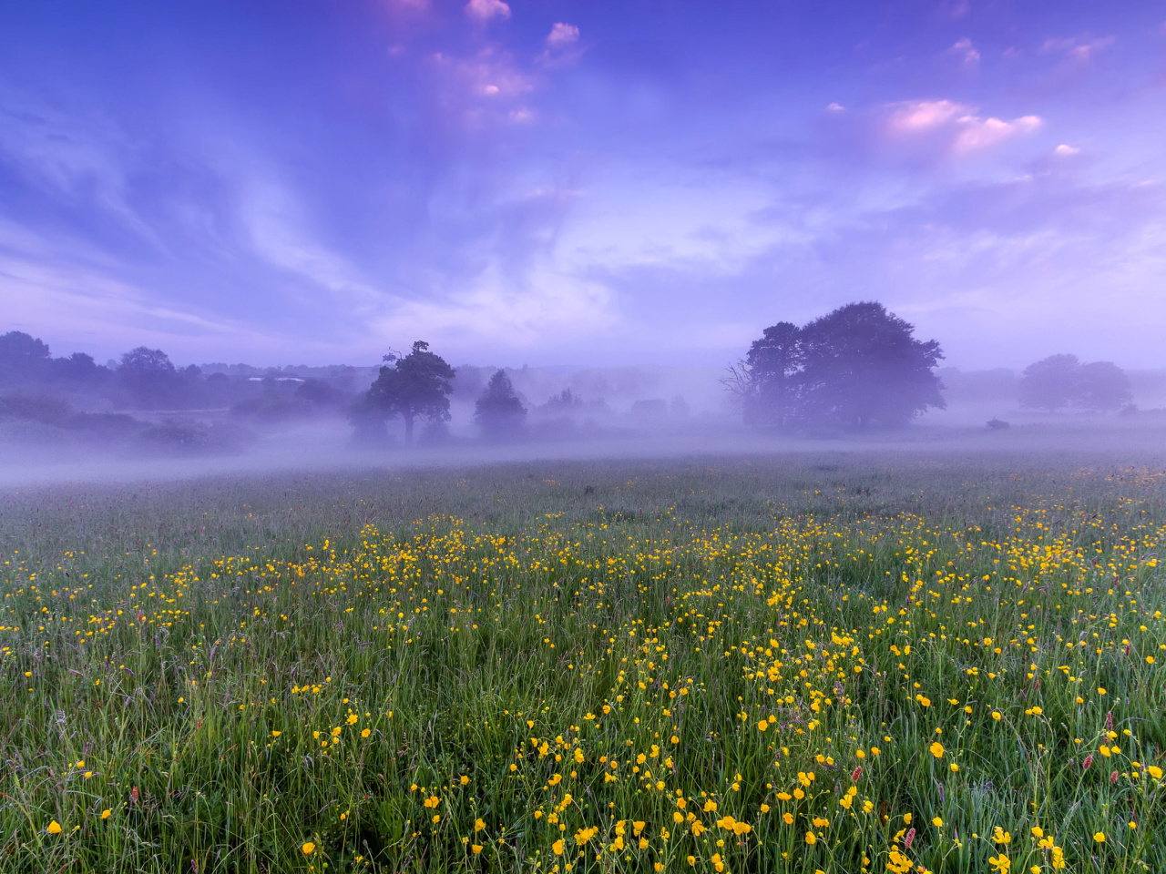 England Glade screenshot #1 1280x960