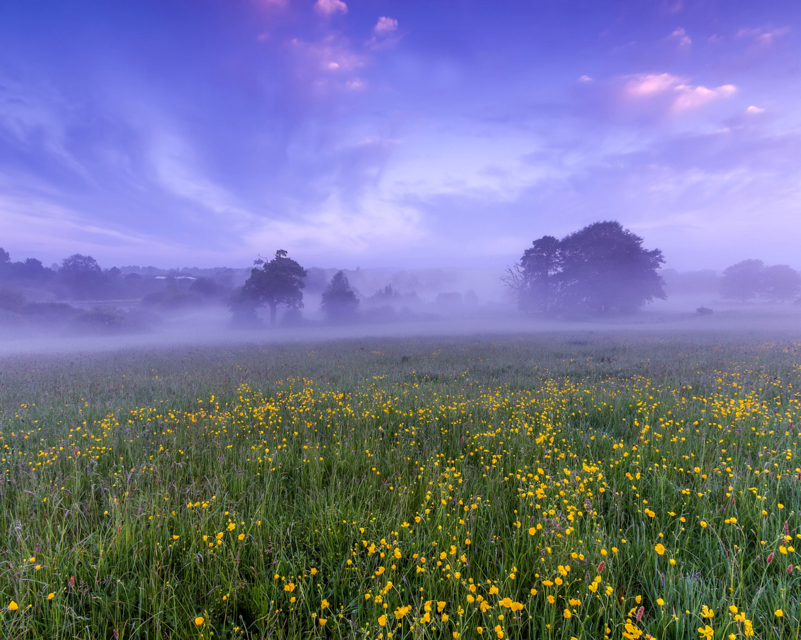 England Glade screenshot #1 1600x1280