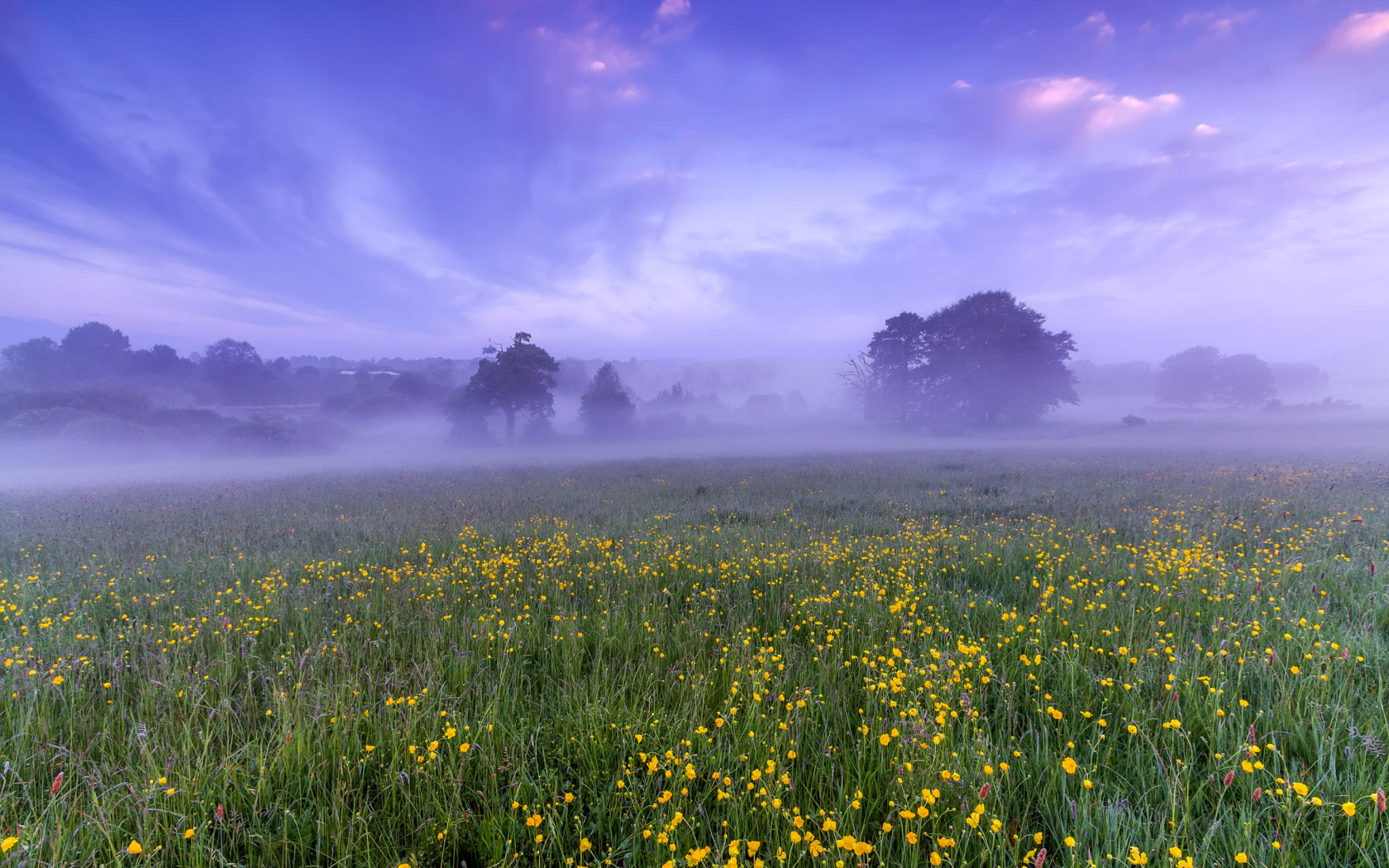 England Glade wallpaper 1680x1050