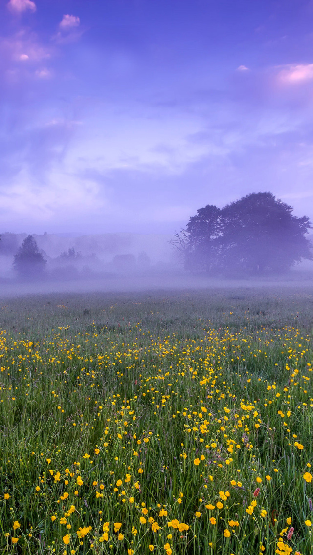 England Glade screenshot #1 640x1136