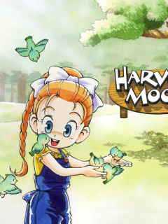 Screenshot №1 pro téma Harvest Moon Friends 240x320