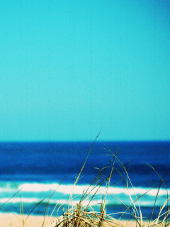 Обои Summer By The Sea 240x320