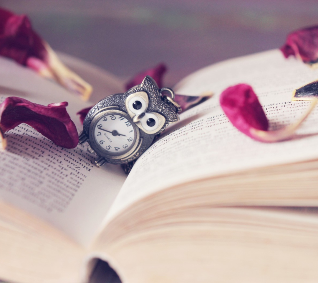 Screenshot №1 pro téma Vintage Owl Watch And Book 1080x960