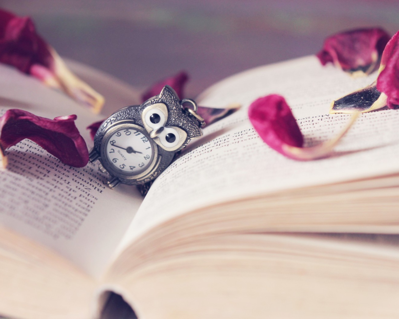 Screenshot №1 pro téma Vintage Owl Watch And Book 1280x1024