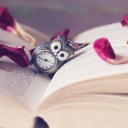 Screenshot №1 pro téma Vintage Owl Watch And Book 128x128