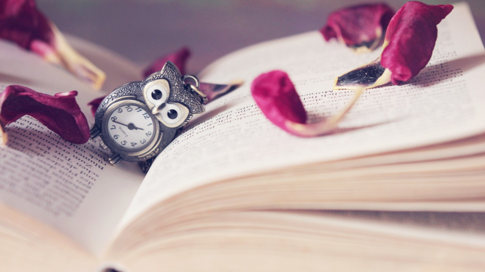 Screenshot №1 pro téma Vintage Owl Watch And Book 1920x1080