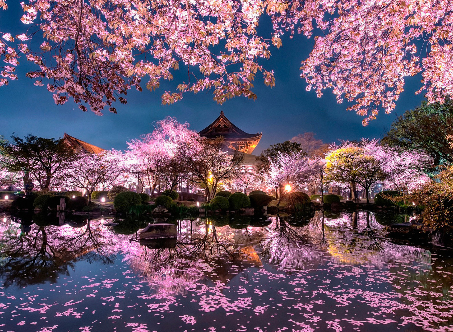 Japan Cherry Blossom Forecast wallpaper 1920x1408