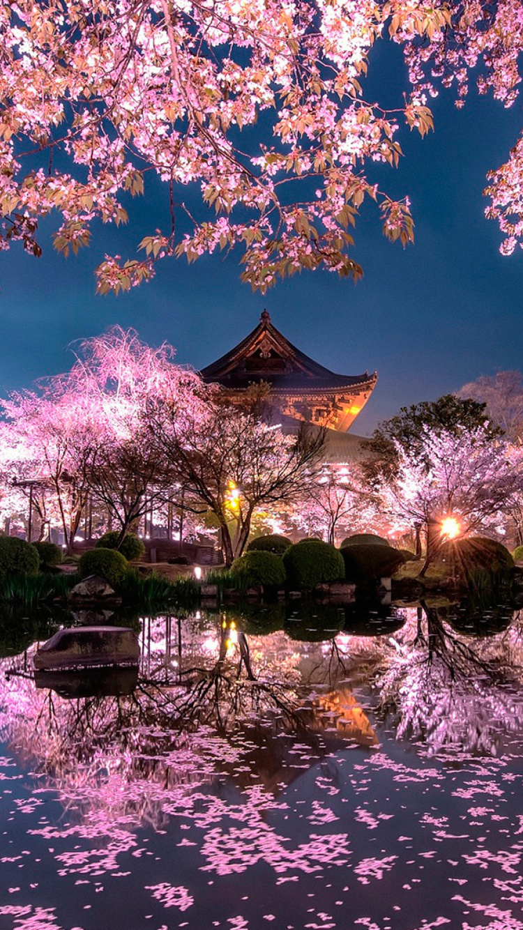 Japan Cherry Blossom Forecast wallpaper 750x1334